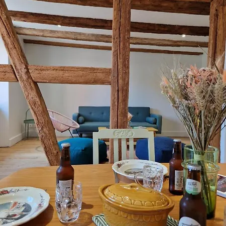 Semesterbostad La Petite Porte - Petite Venise - Colmar