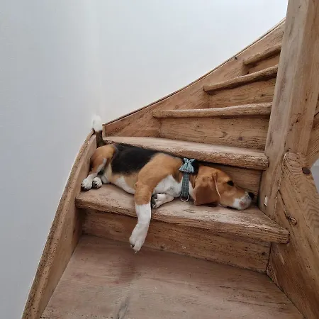 La Petite Porte - Petite Venise -