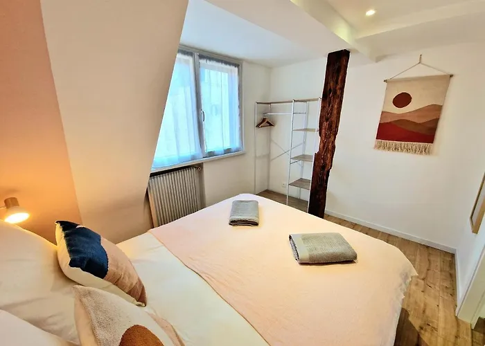 Vakantiehuis La Petite Porte - Petite Venise - Colmar